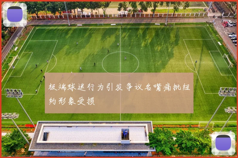 极端球迷行为引发争议名嘴痛批纽约形象受损